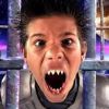 SHARK BOY
