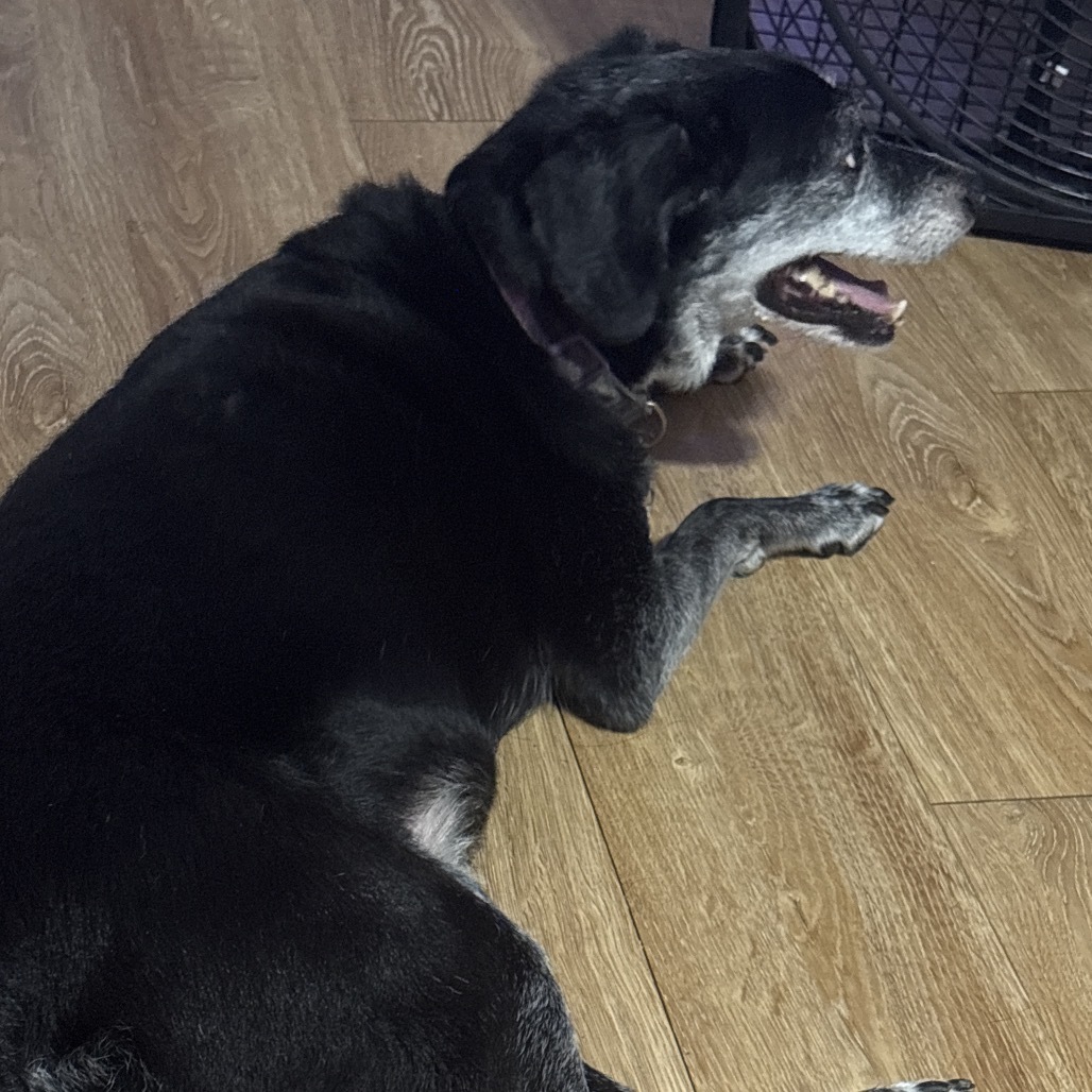 Max