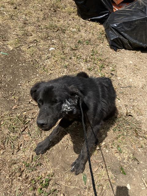 OSO