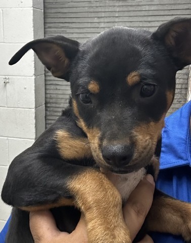 HARRY(FOSTER)