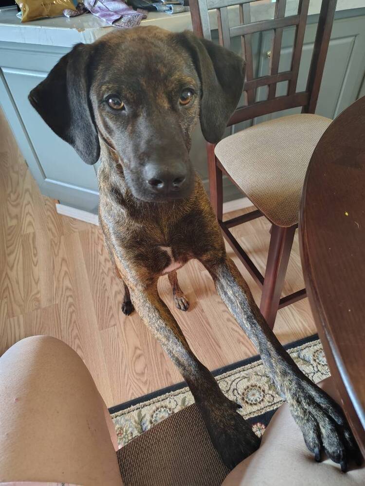 Vader