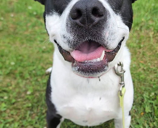 Josie