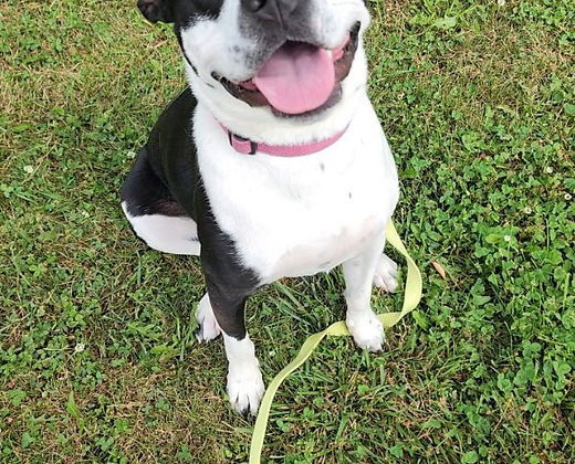 Josie