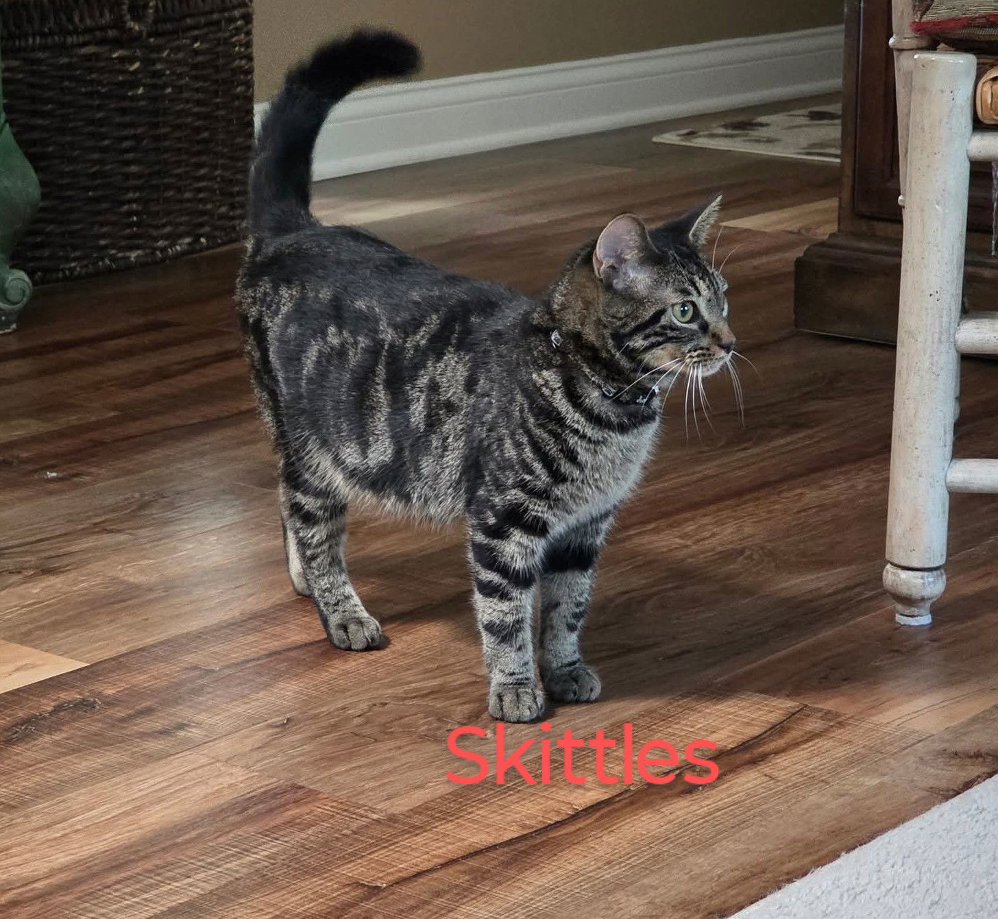 Skittles/ tofu