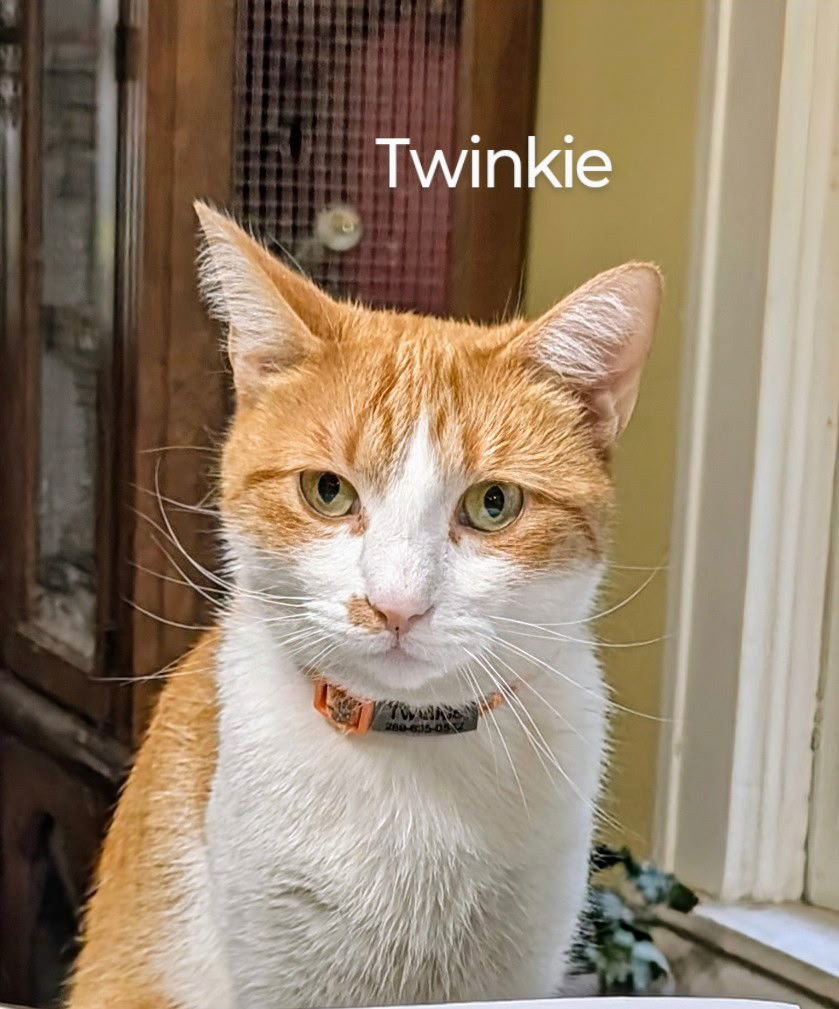 Twinkie