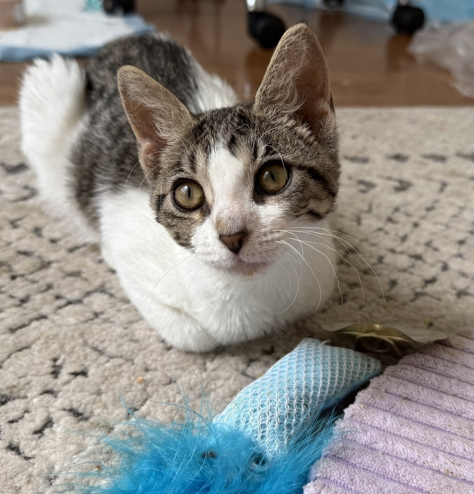 Princess Nala