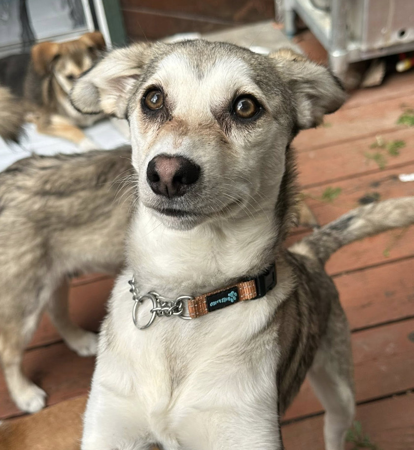 Eddie