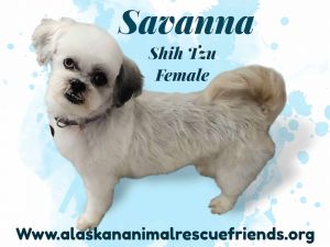 Savannah