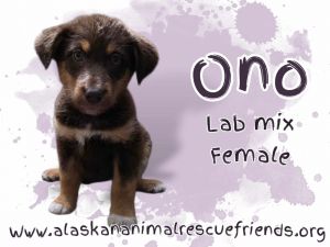 Ono