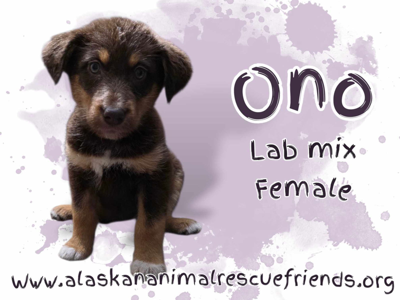 Ono