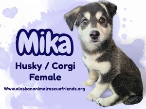 Mika
