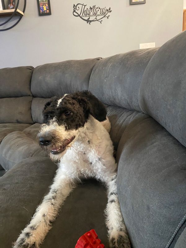 Meadow Morrow thumbnail 2