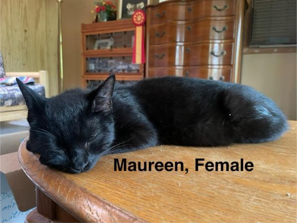 Maureen