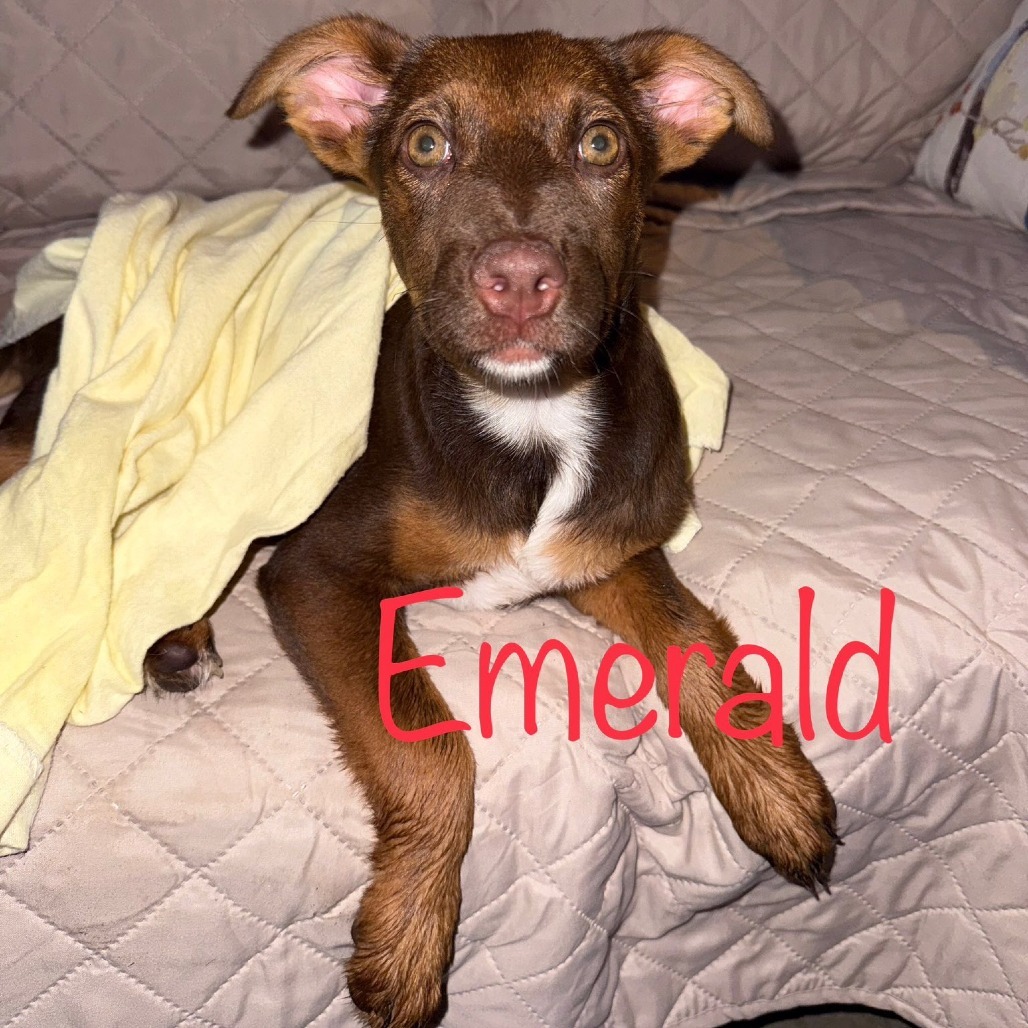 Emerald