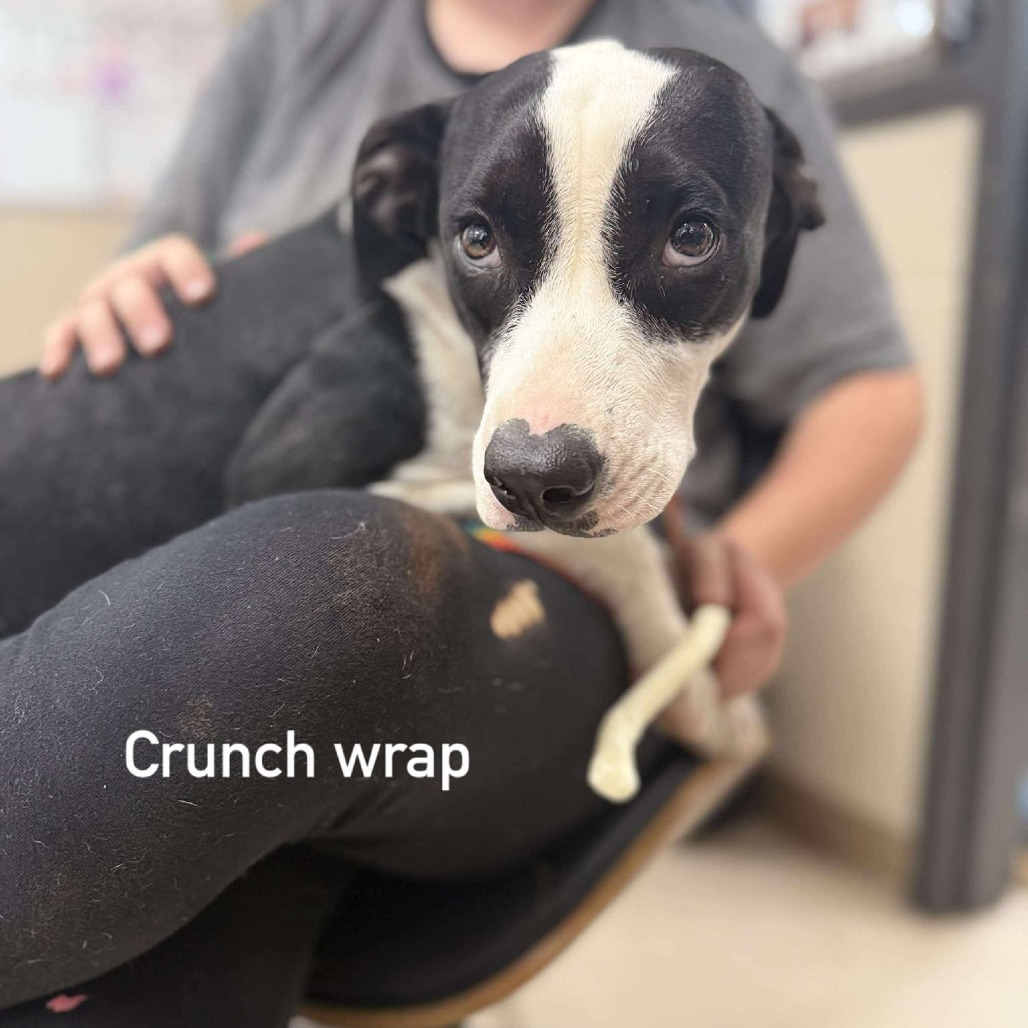Crunch Wrap