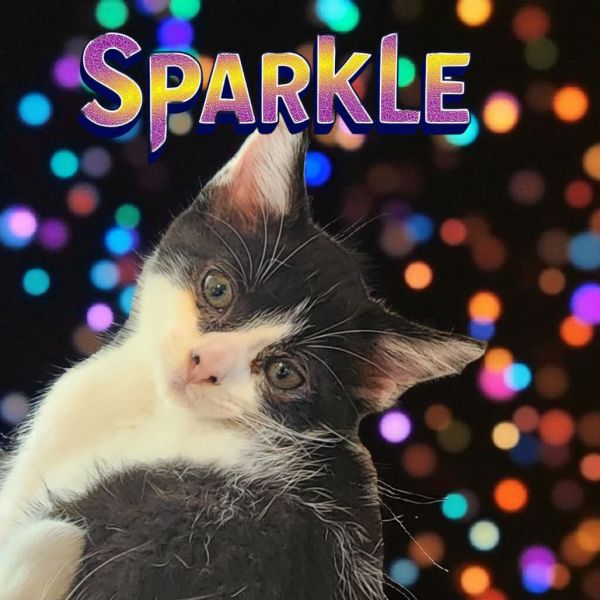 Sparkle