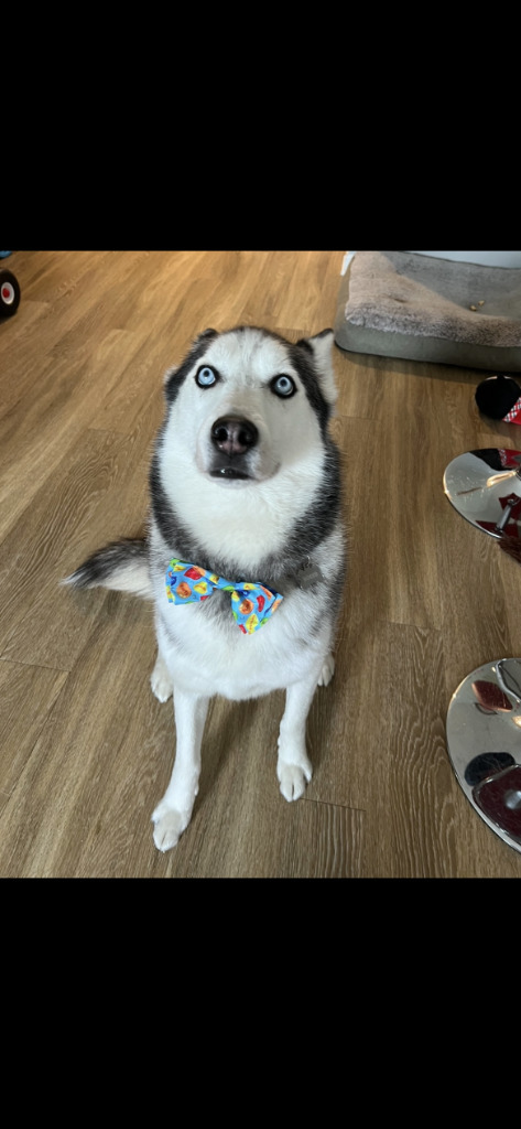 Rocco