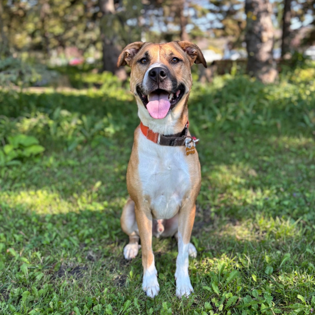 Watson--In Foster