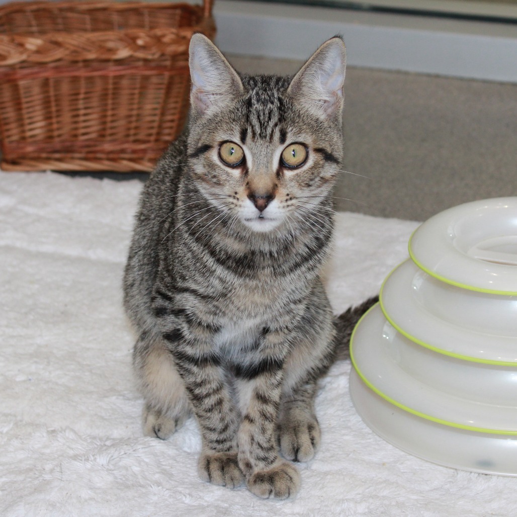 Theodore
