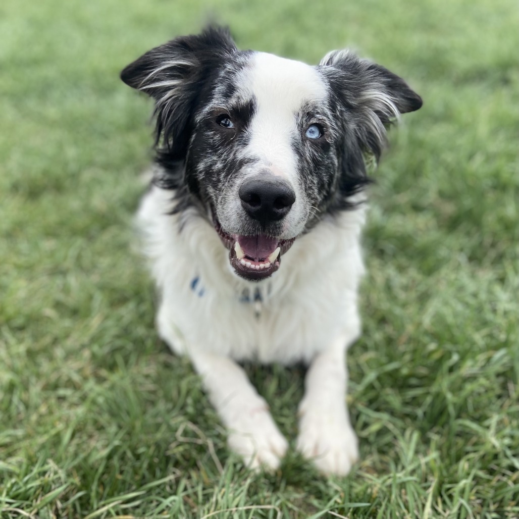 Jax