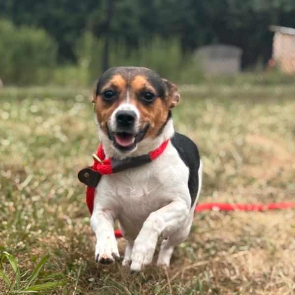 Matilda