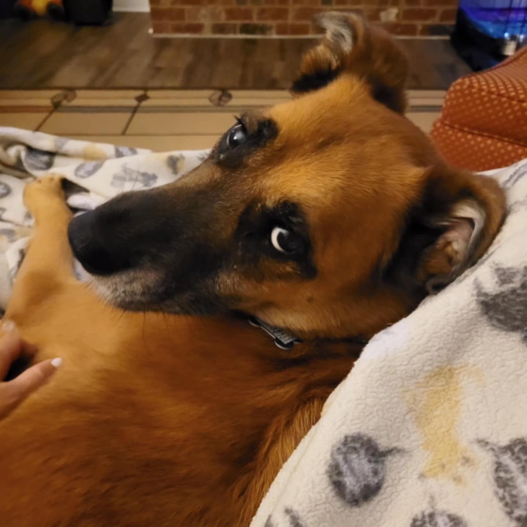 Esther