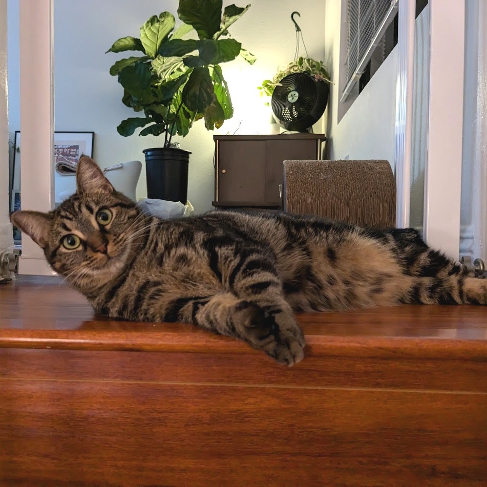 Freyja