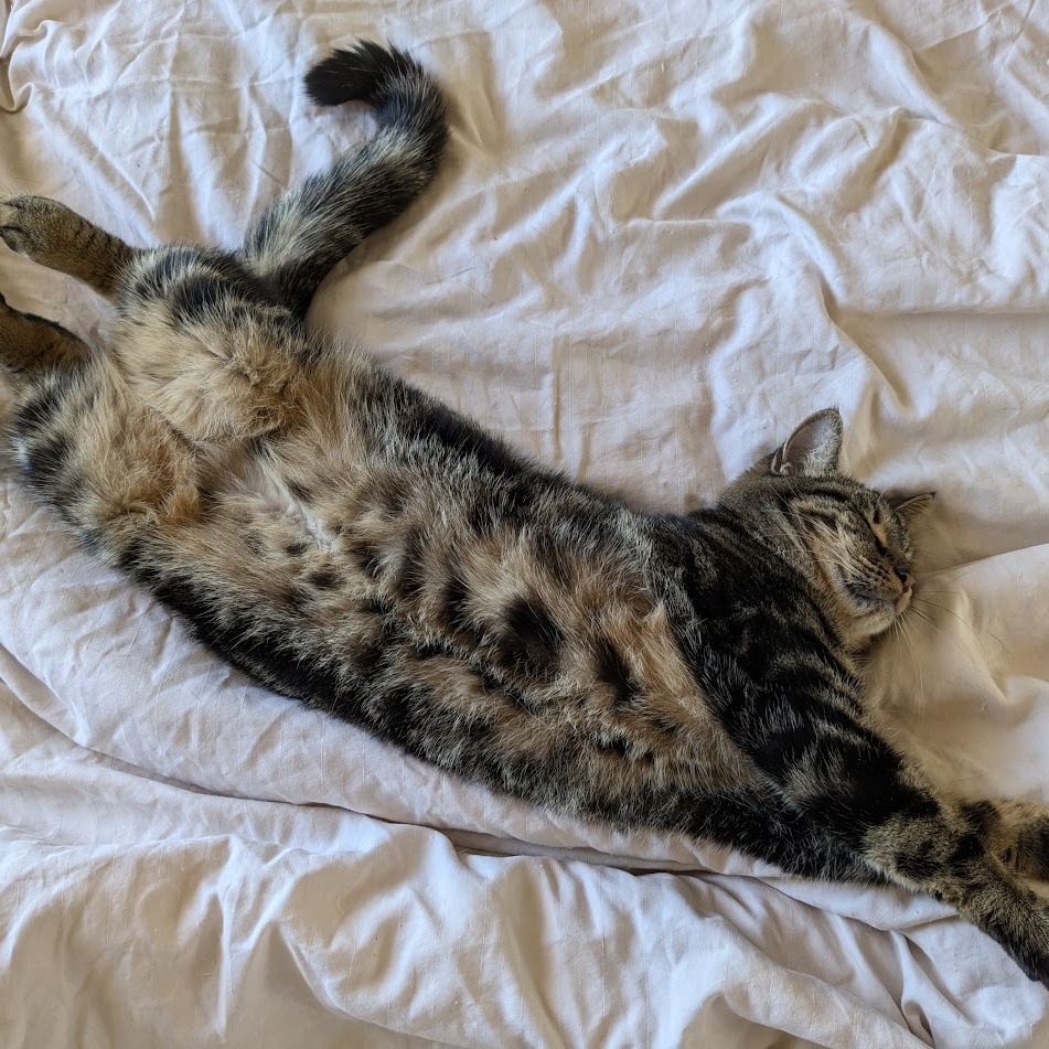Freyja