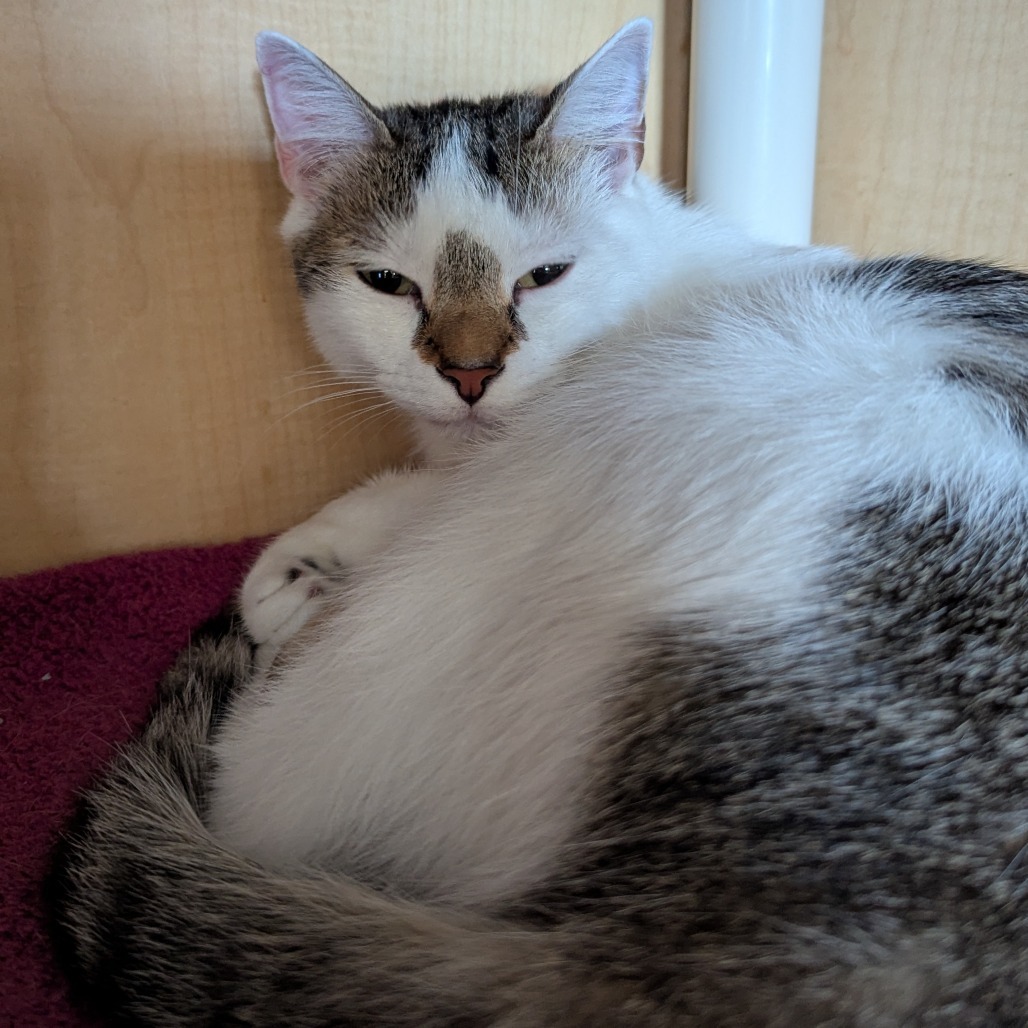 Milo