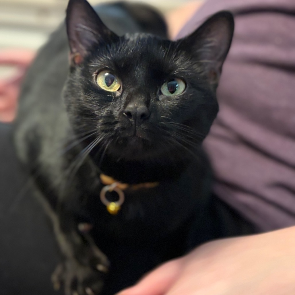 Jane