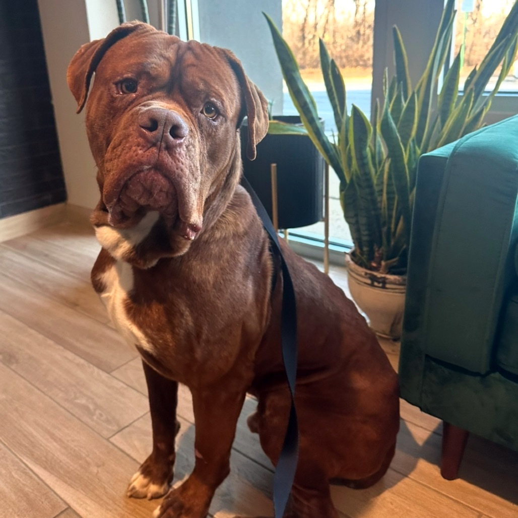 Bartholomew