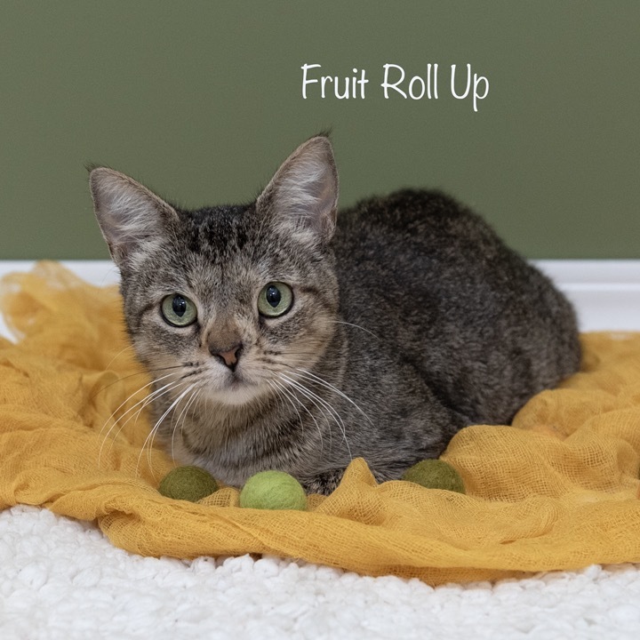 Fruit Roll Up