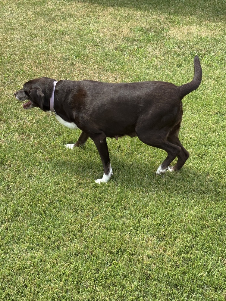 Nella