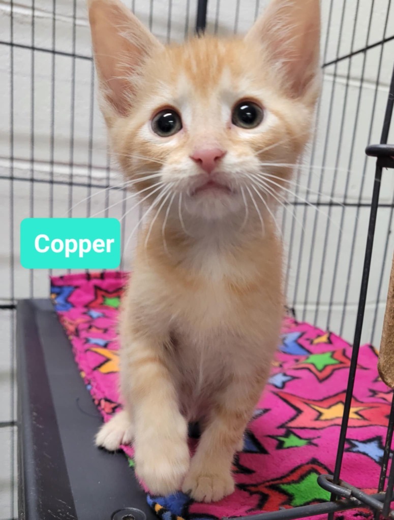 Copper