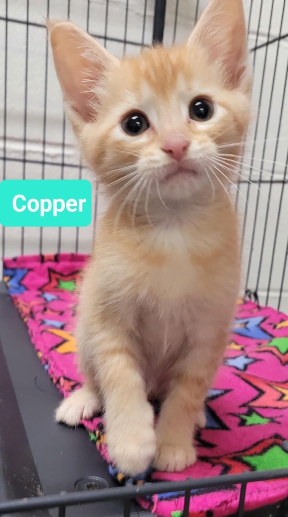 Copper