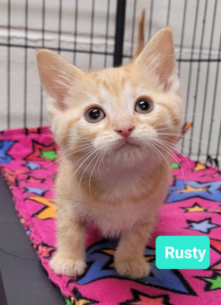 Rusty
