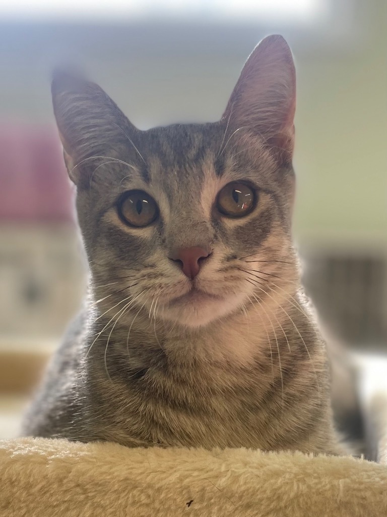 Manny