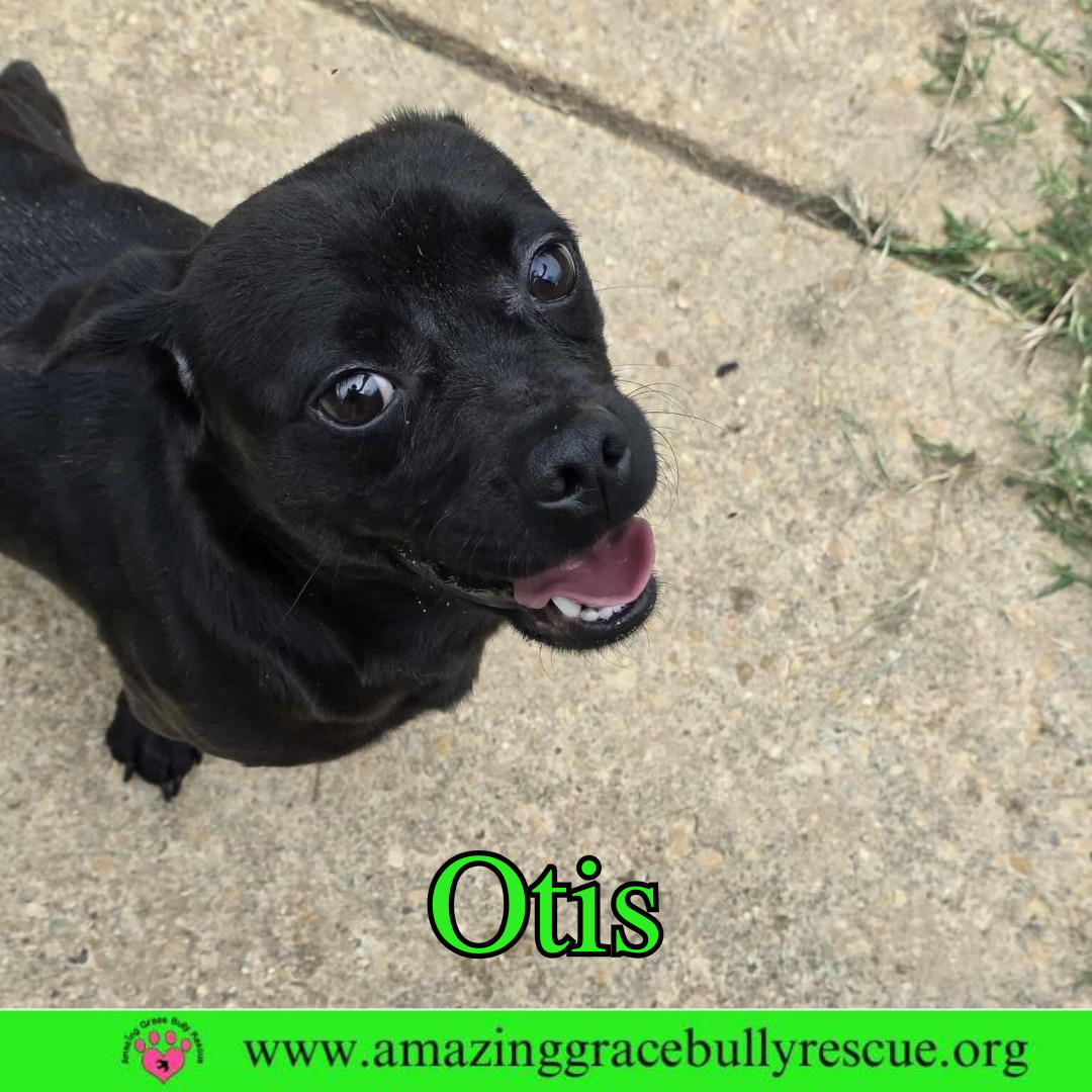 Otis