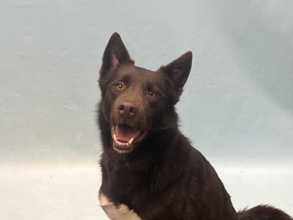 Milo