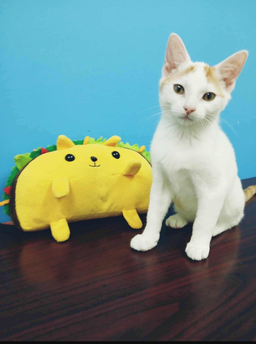 Diego