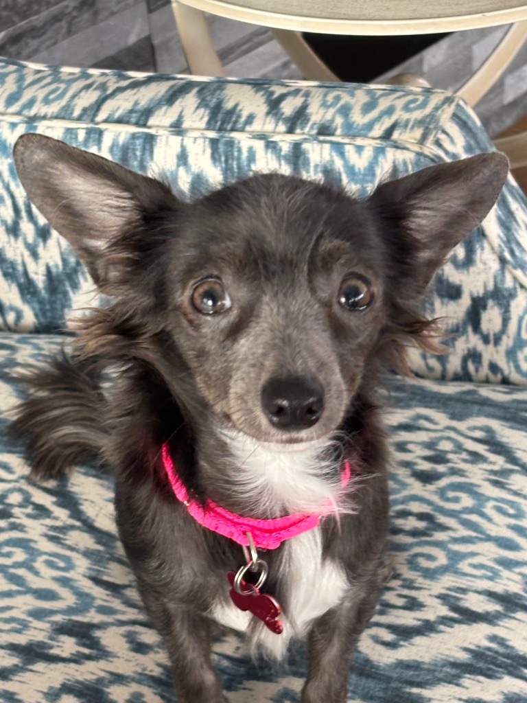Kiva