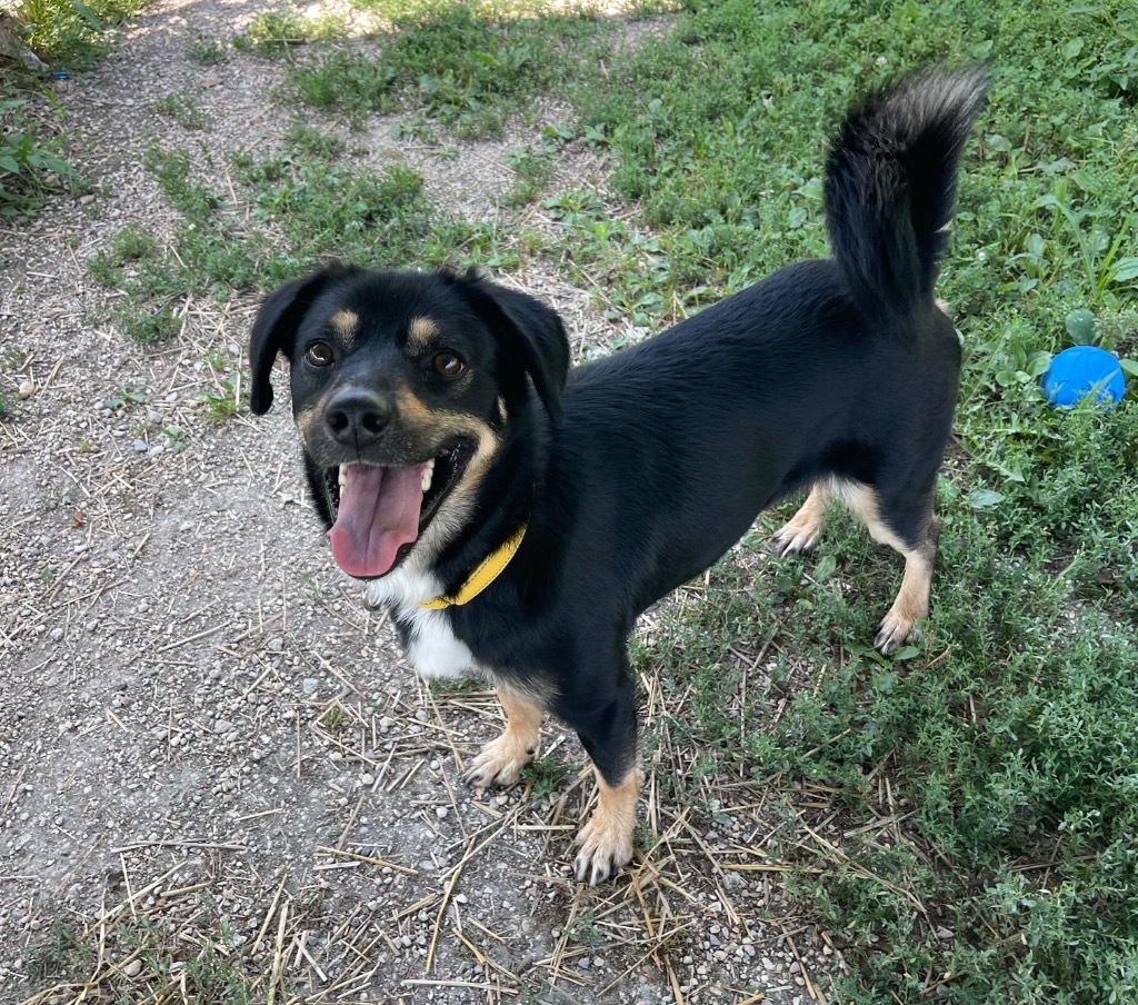 Coco