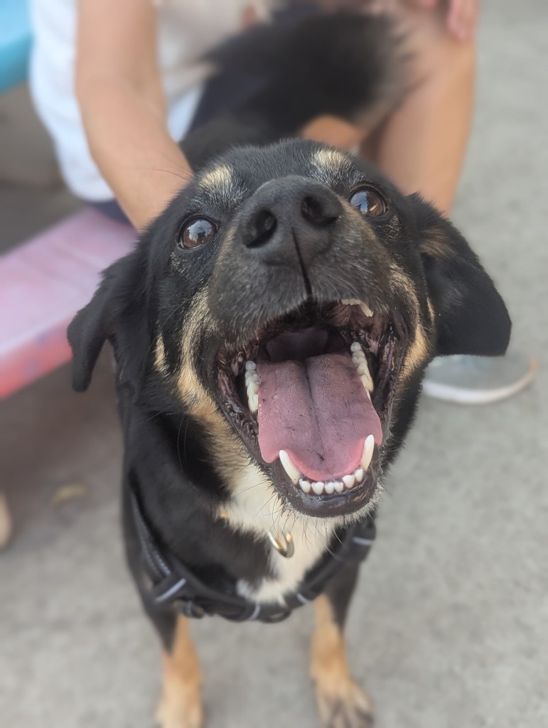 Coco