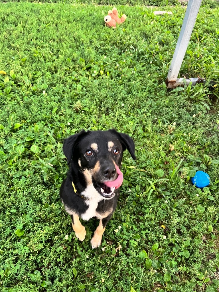 Coco