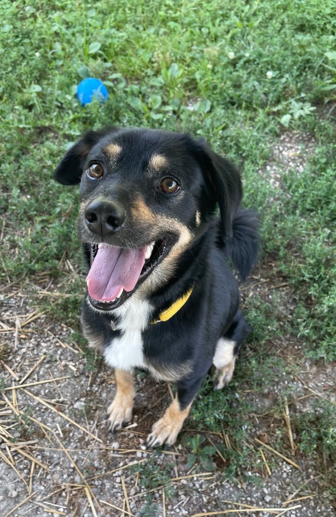 Coco
