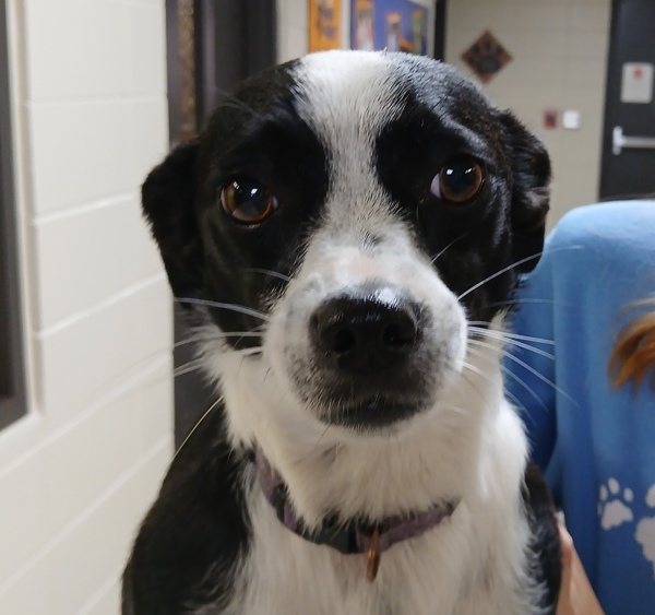 Lulu thumbnail 2