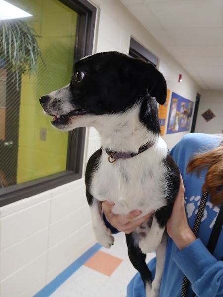 Lulu thumbnail 4