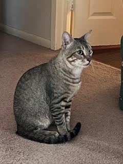 Archibald