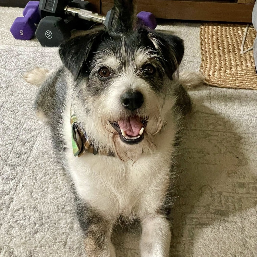 Milo