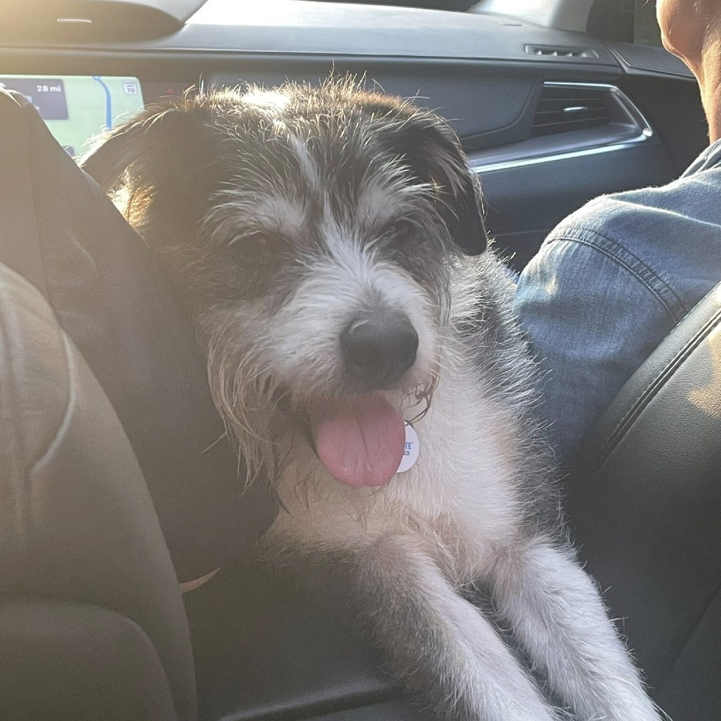 Milo